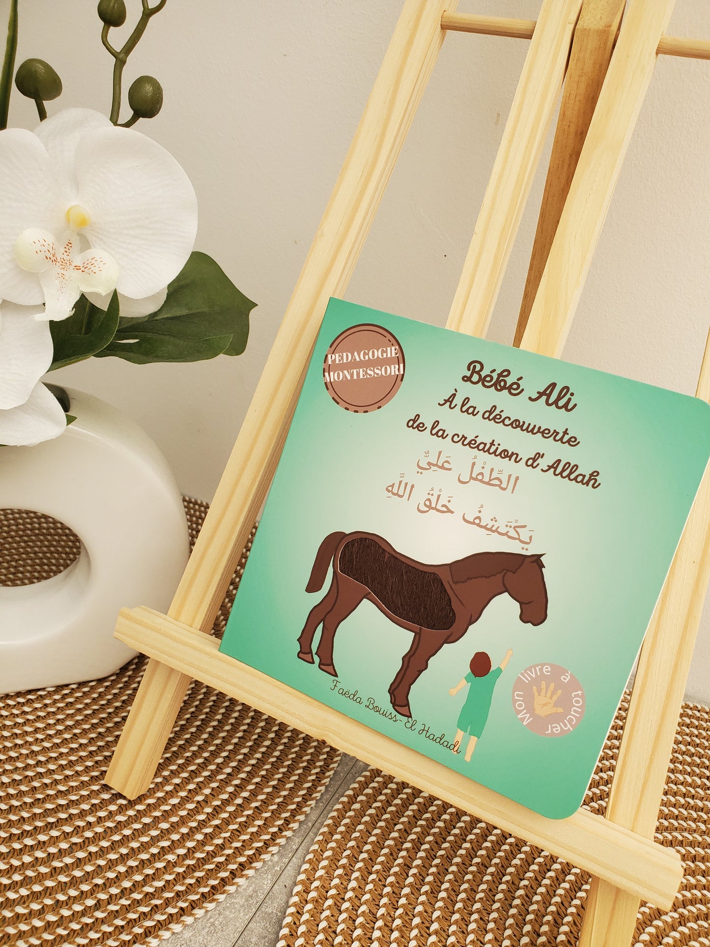 Bébé Ali à la découverte de la création d'Allah tome 08