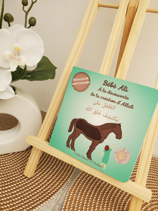 Bébé Ali à la découverte de la création d'Allah tome 08