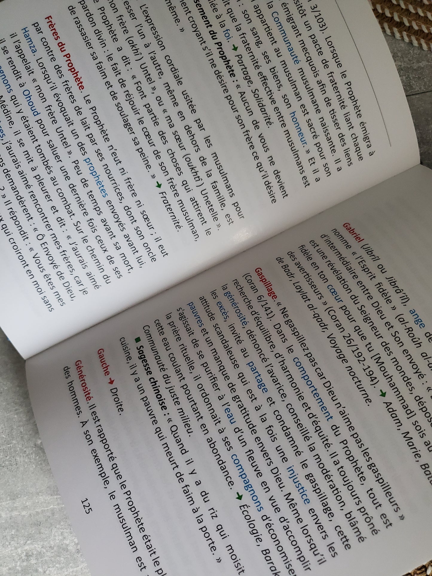 Petit dictionnaire de l'Islam pour qui espère en dieu.