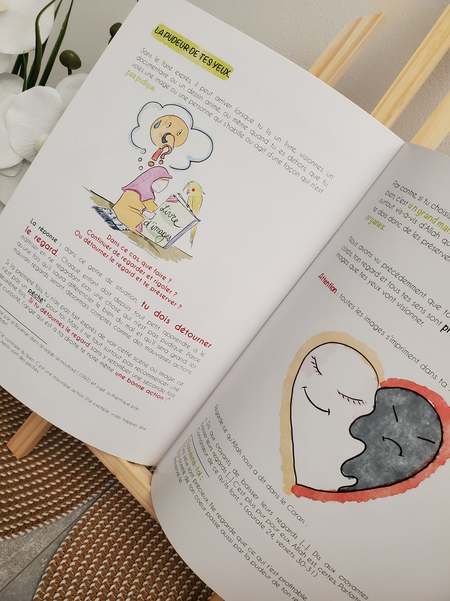 Touche pas à mes plumes !