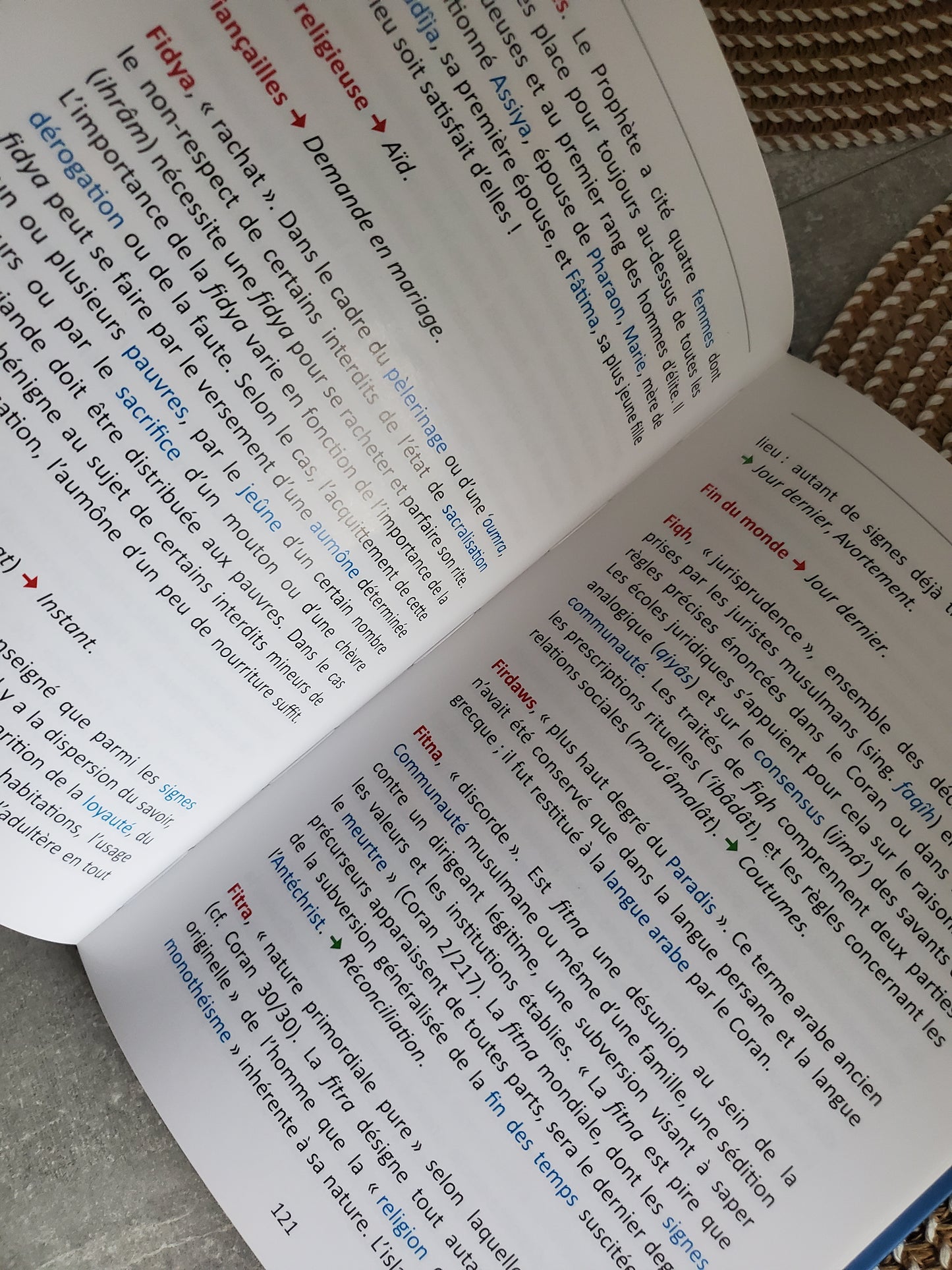 Petit dictionnaire de l'Islam pour qui espère en dieu.